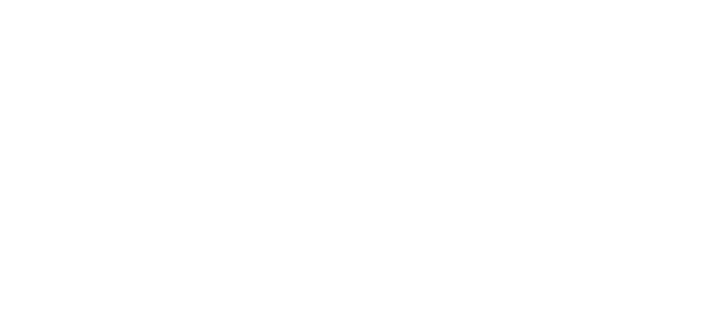 Orbital Paradigm Logo